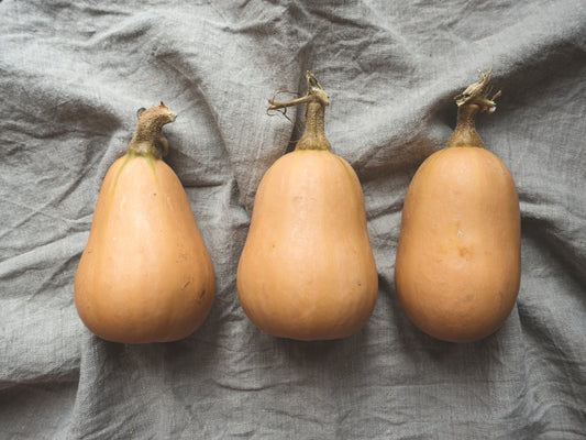 Boules de risotto à la courge